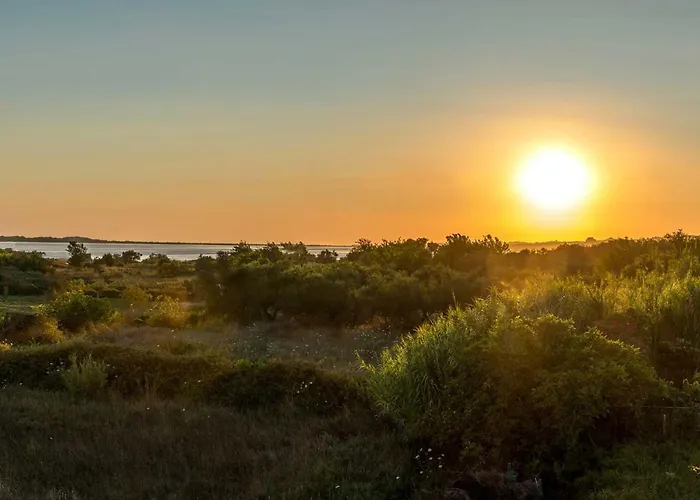 Διαμέρισμα Nissos Λίνια